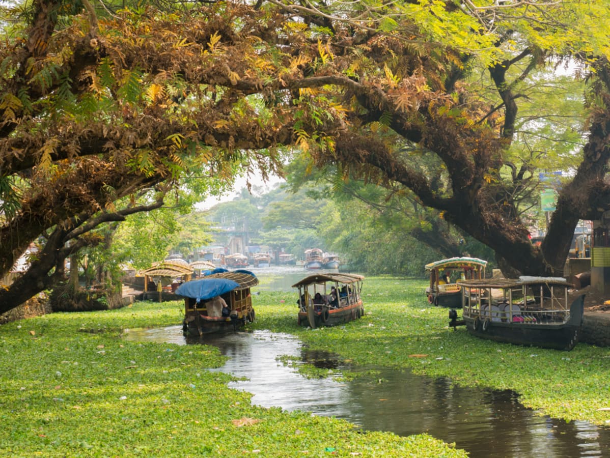 best-of-kerala-with-houseboat-stay